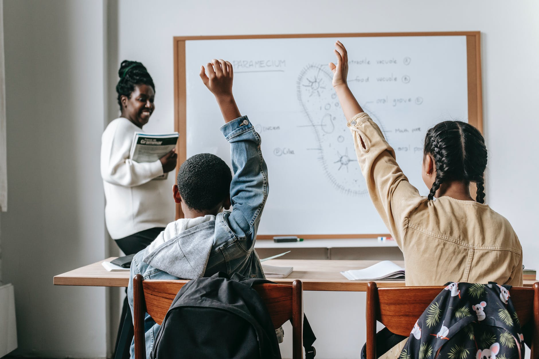 Teacher teaching concept of beliefs and self-fulfilling prophecy